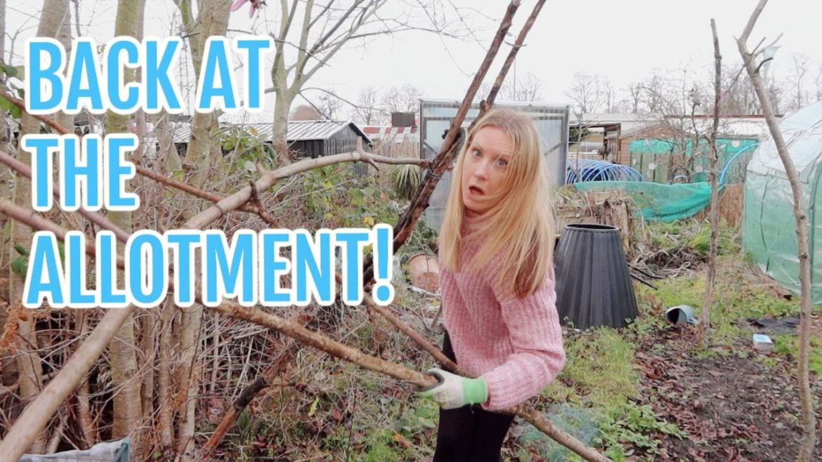 BACK AT THE ALLOTMENT PLOT! / JANUARY 2023 / EMMA'S ALLOTMENT DIARIES BACK AT THE ALLOTMENT PLOT! / JANUARY 2023 / EMMA'S ALLOTMENT DIARIES