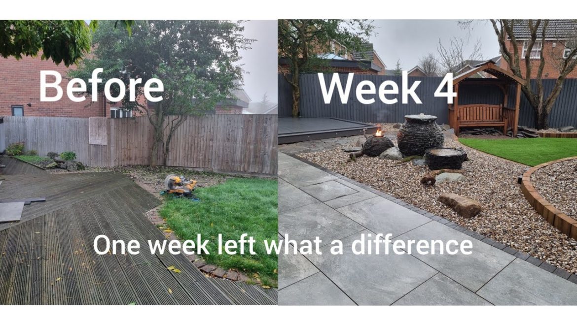 zens garden week 4 we are getting close