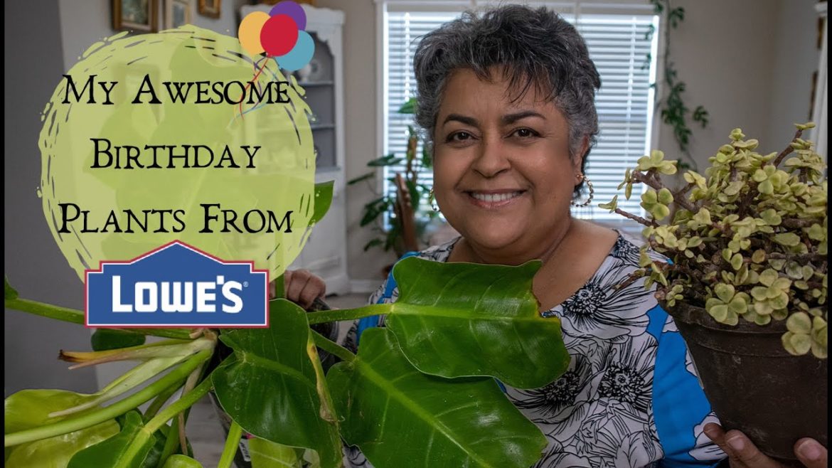 My Awesome Lowes Birthday Plants! 🌱🎉.
