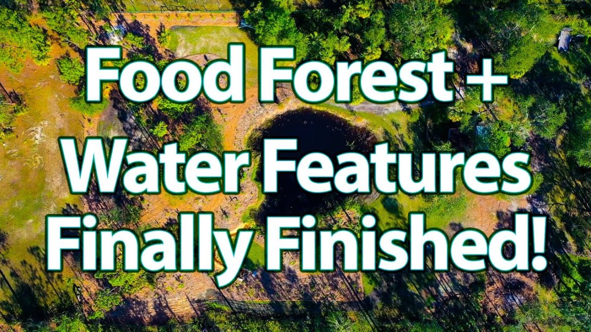 Epic Fruit Forest Project with a Custom Waterfall and Pond System! Finally Complete!! Epic Fruit Forest Project with a Custom Waterfall and Pond System! Finally Complete!!
