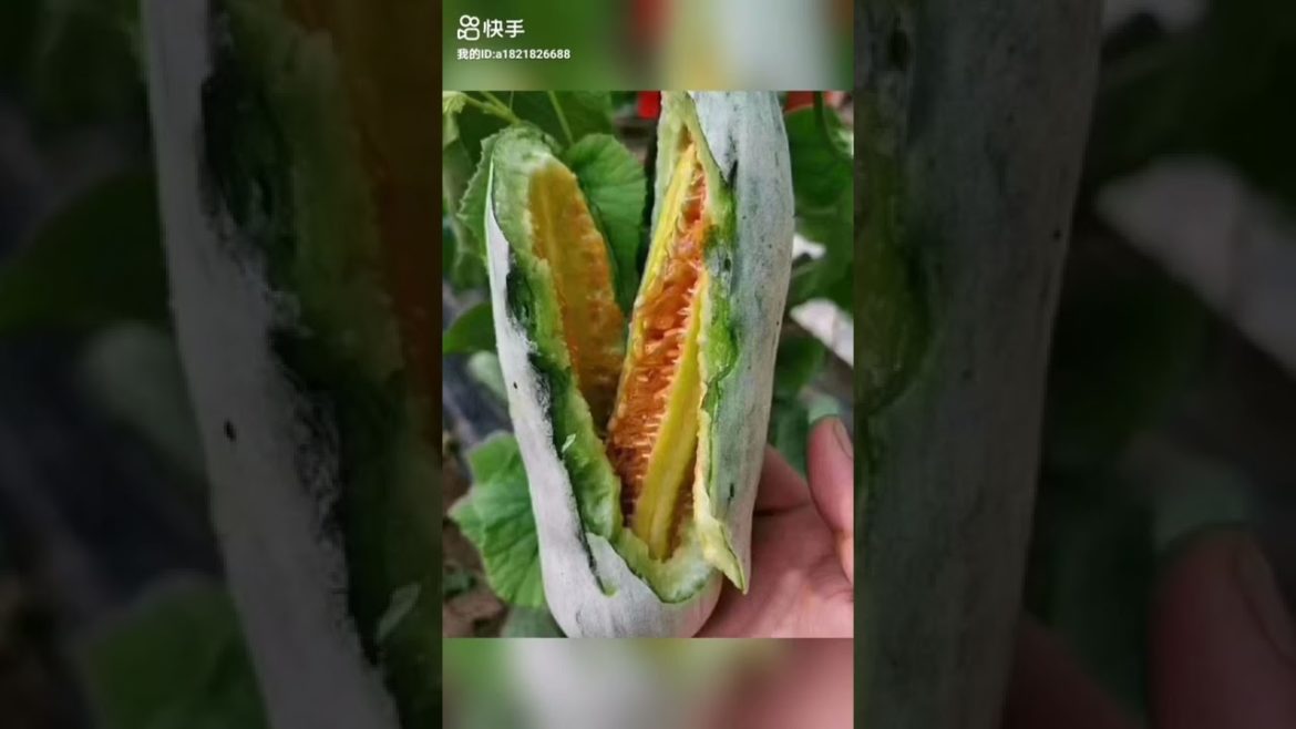 15 Easy Ways to Grow Veggies And Fruits  Useful Gardening Tips by 5 Minute Recipes!# 850