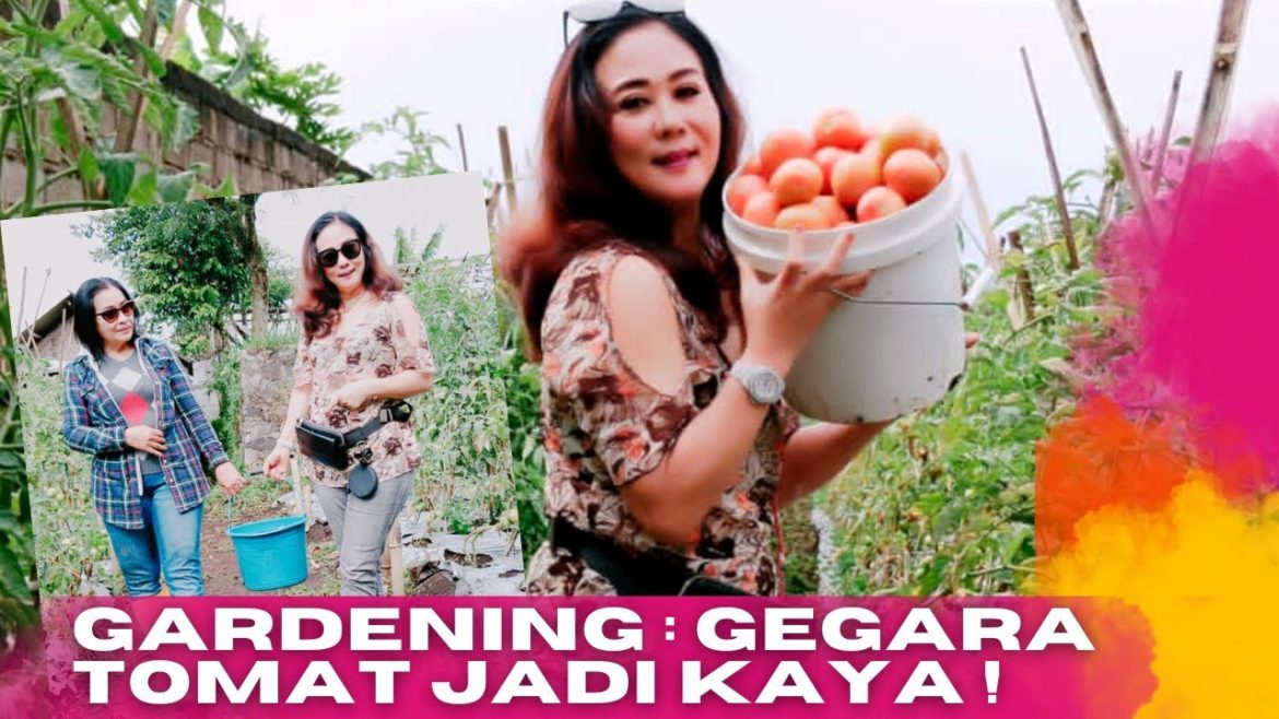 Gardener  - Tips for a Tomato Farmer to Success