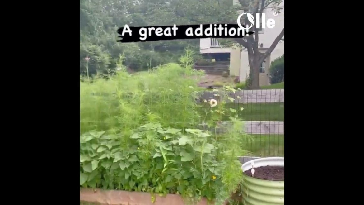 Raised garden beds: The Ultimate Guide to raised garden bed-OLLEUSA.COM,