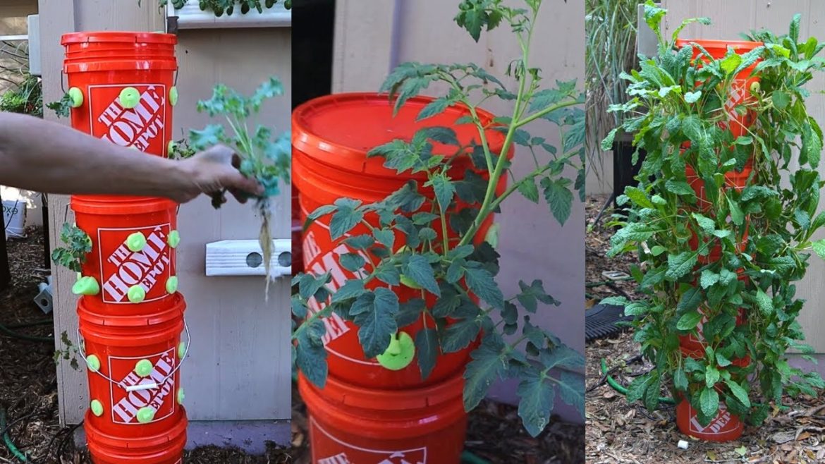 $68 Hydroponic Tower Garden One Year Later, Vertical Gardening