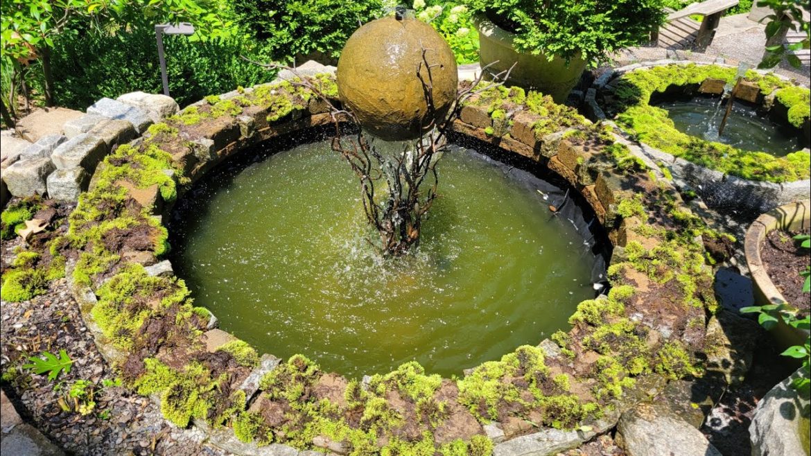 Summer Gardening Tips, Critter Problems & a Tomato Vine Design You'll Want in your Vegetable Garden! Summer Gardening Tips, Critter Problems & a Tomato Vine Design You'll Want in your Vegetable Garden!