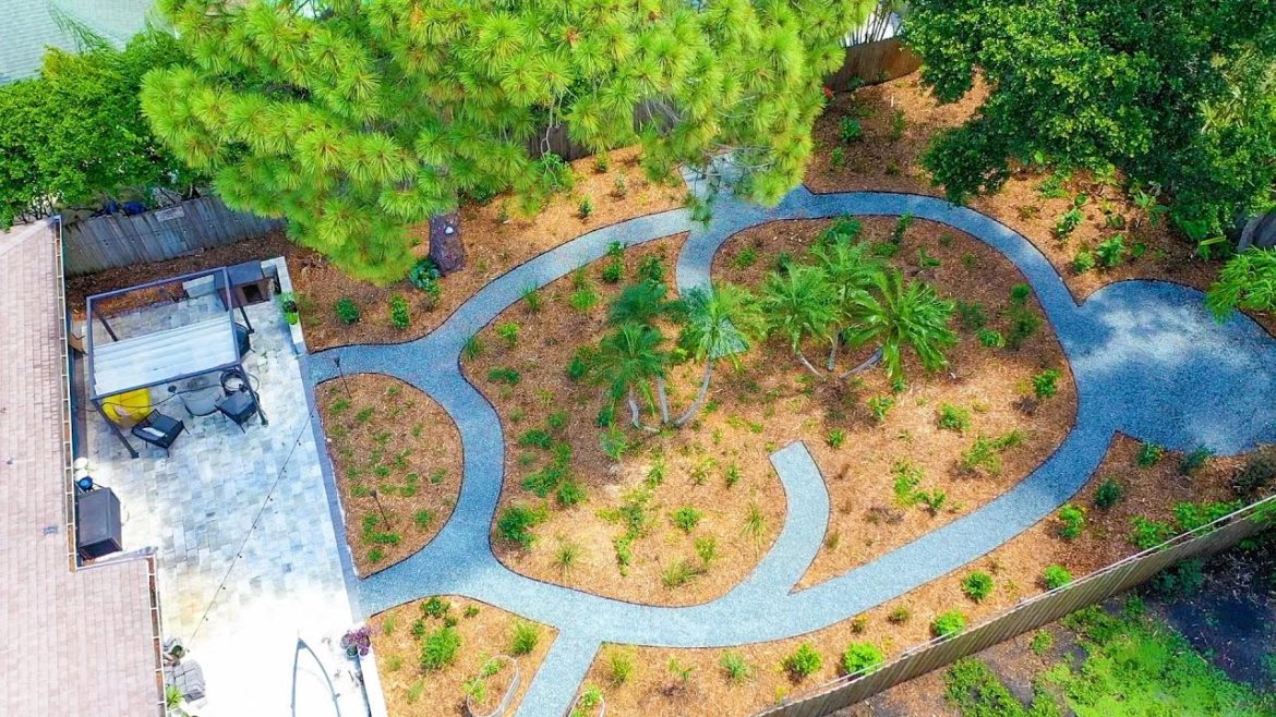 Backyard Transformation! From Grasshole to an Edible Botanical Oasis! Backyard Transformation! From Grasshole to an Edible Botanical Oasis!