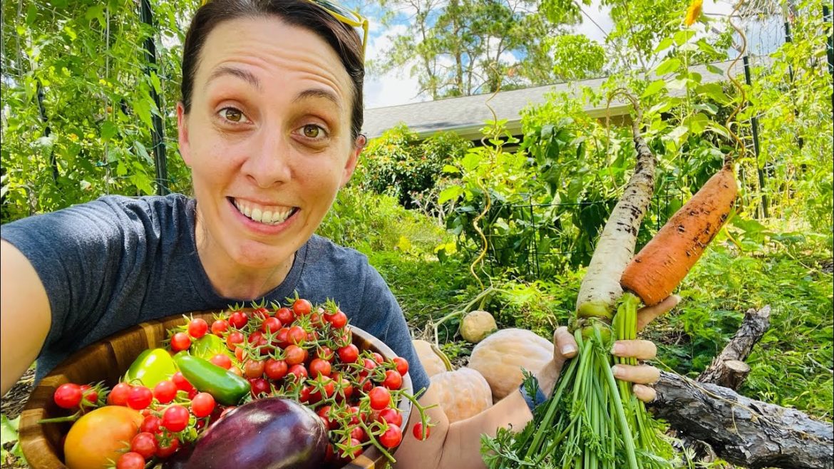 How I SAVED $240 on my monthly GROCERY BILL (Florida Gardening Tips)