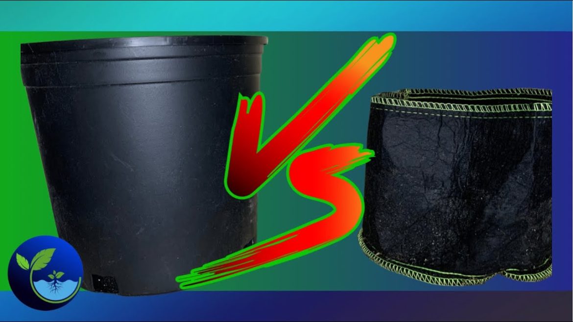 Plastic vs Fabric garden containers #container garden Plastic vs Fabric garden containers #container garden