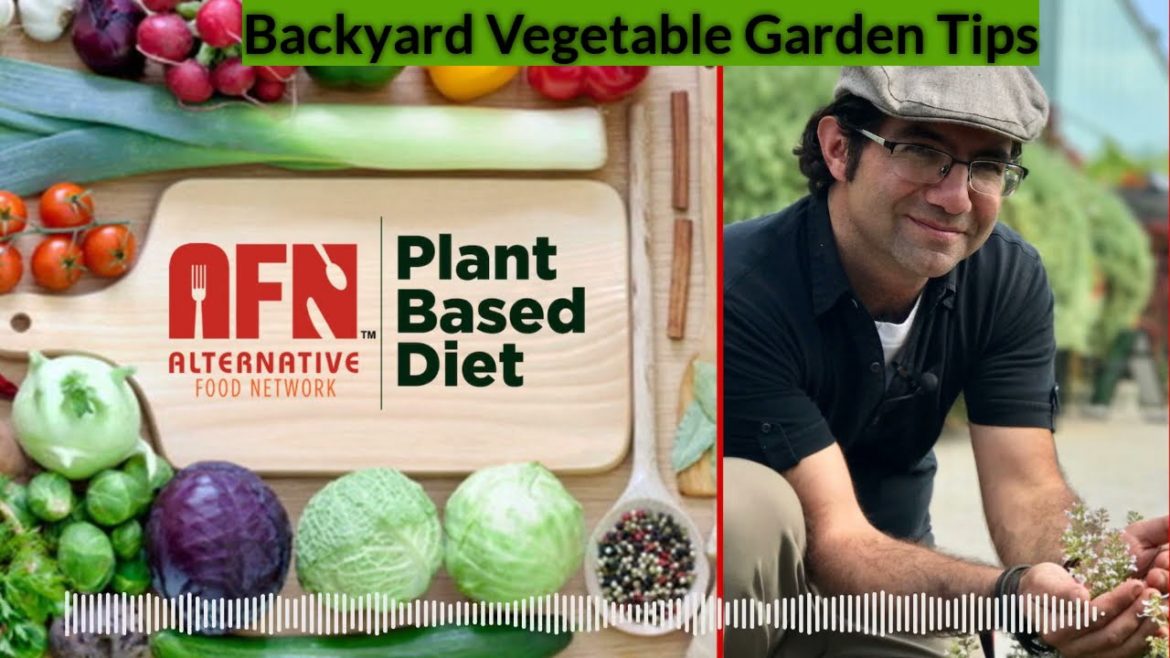 Backyard Vegetable Garden Tips Backyard Vegetable Garden Tips