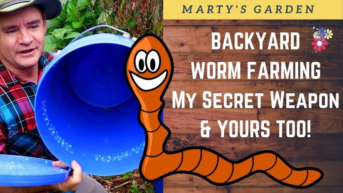Backyard Garden Worm Farming My SECRET To Sucess & YOURS TOO!