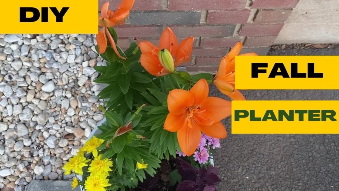 Fall Planter II DIY II Planting a Fall Container Garden II Jersey Gardening