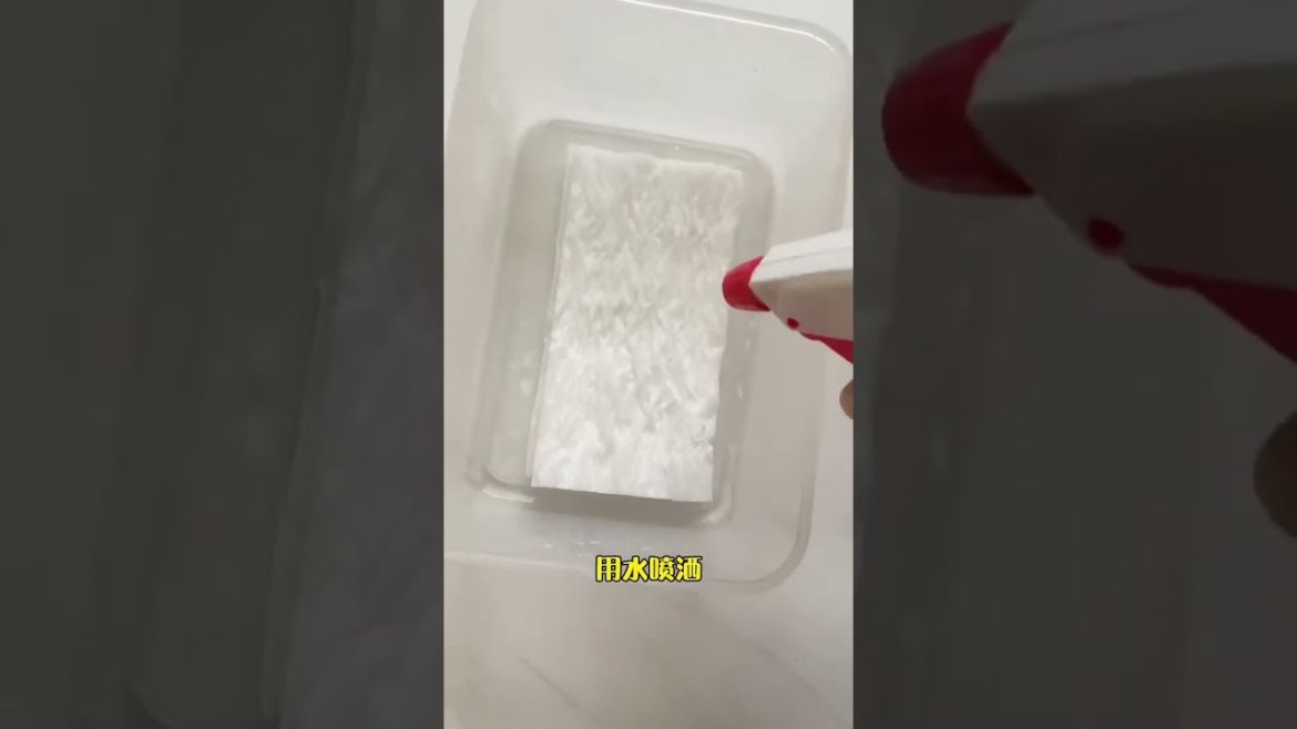 how to growing vegetable #natural #satisfying