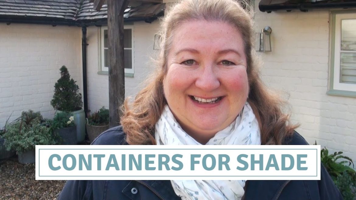 Shade Container Inspiration / Front Garden Transformation Shade Container Inspiration / Front Garden Transformation