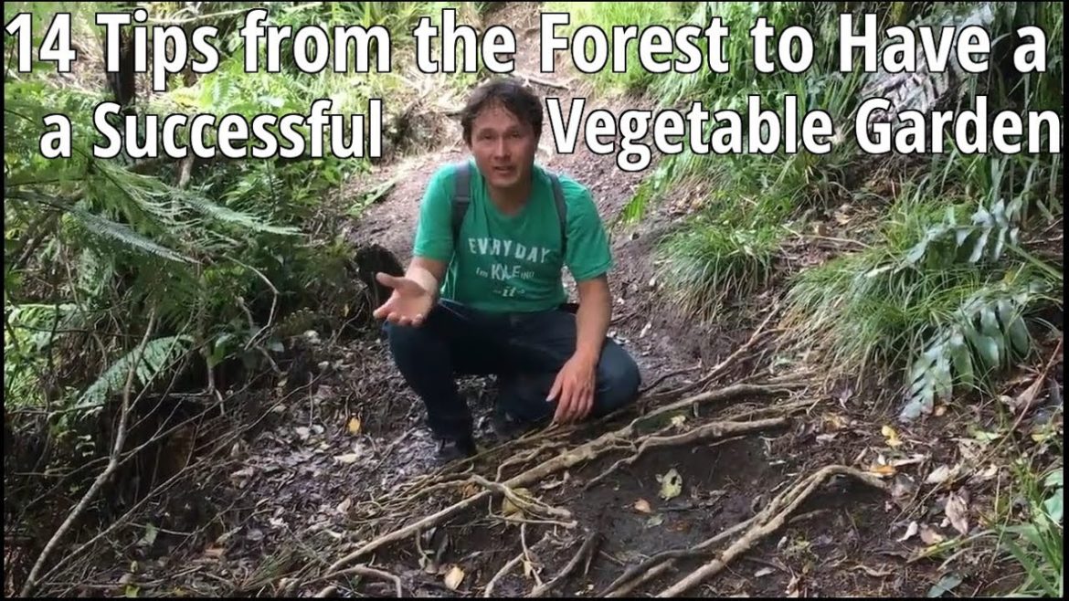 14 Tips from the Forest to Have a Successful Vegetable Garden