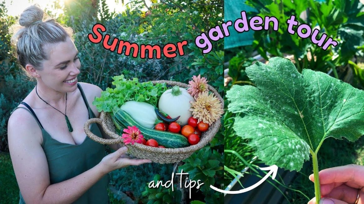 Summer Garden Tour and Harvest + Common Problems 🥒🌶 Summer Garden Tour and Harvest + Common Problems 🥒🌶
