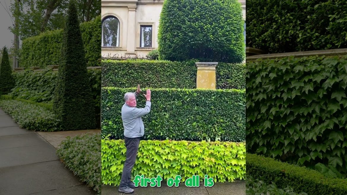 The breakdown of the Essence of a Toorak garden!