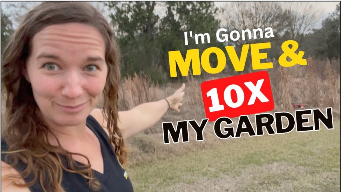 Make Adjustments to your Garden in January - Zone 9