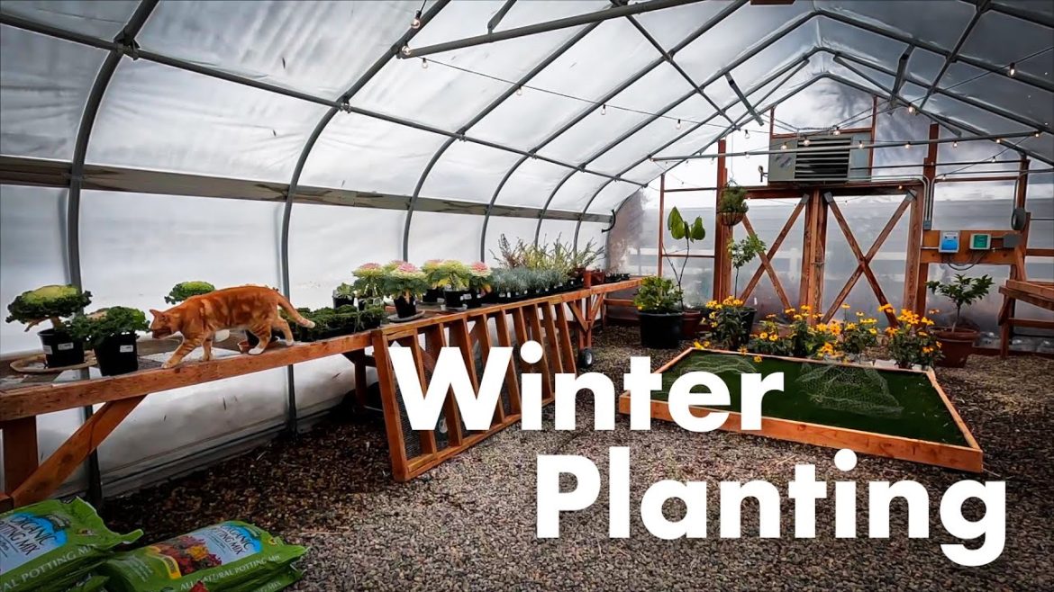 ❄🌨🌼Winter Plant Projects with Garden Answer!🌼🌨❄