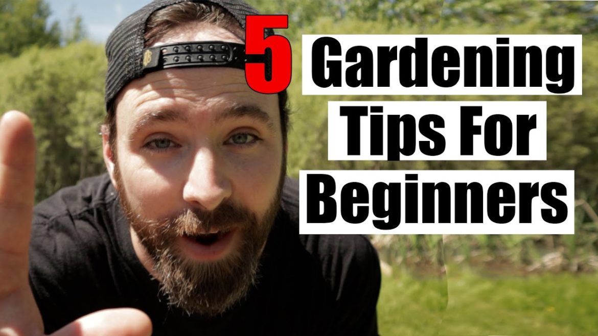 5 Gardening Tips For Beginners