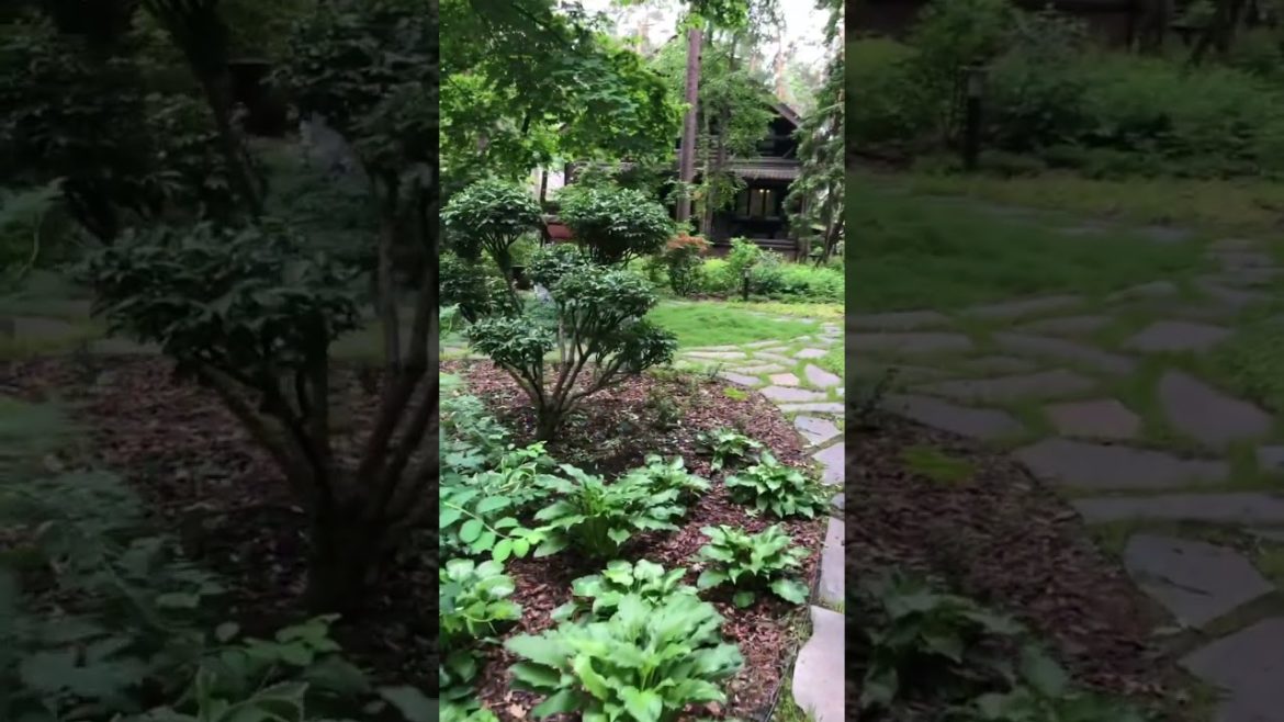 Ландшафтный дизайн на лесном участке #shorts