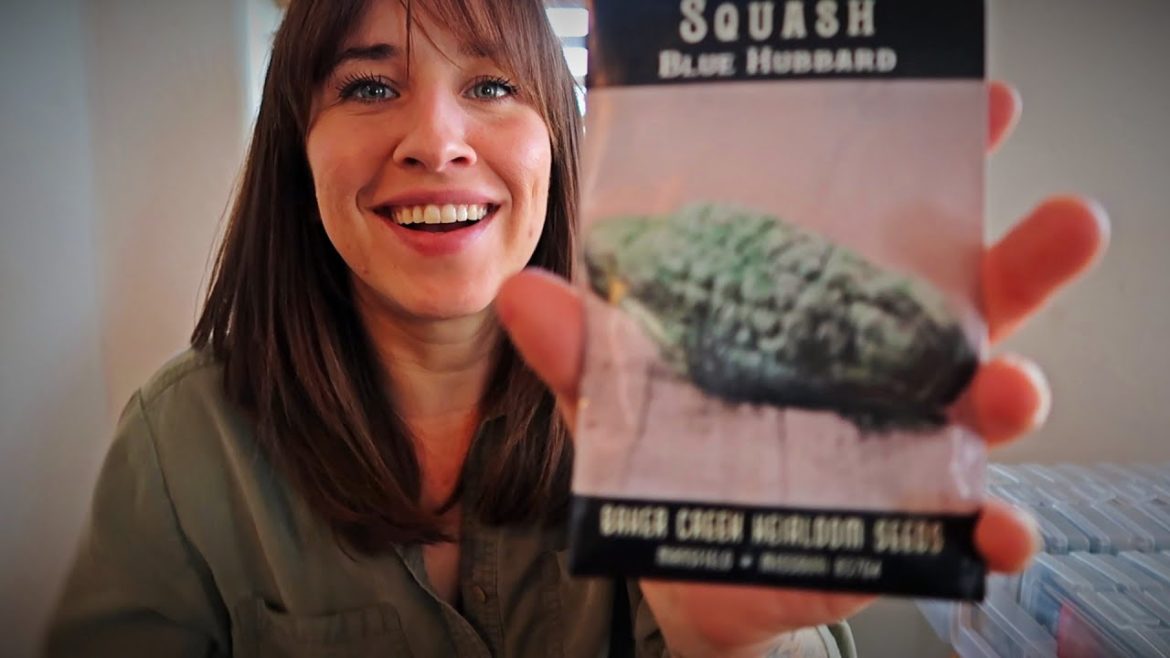 Seed Haul and Varieties 2023 | Heirloom and Hybrids for a Desert Garden Seed Haul and Varieties 2023 | Heirloom and Hybrids for a Desert Garden