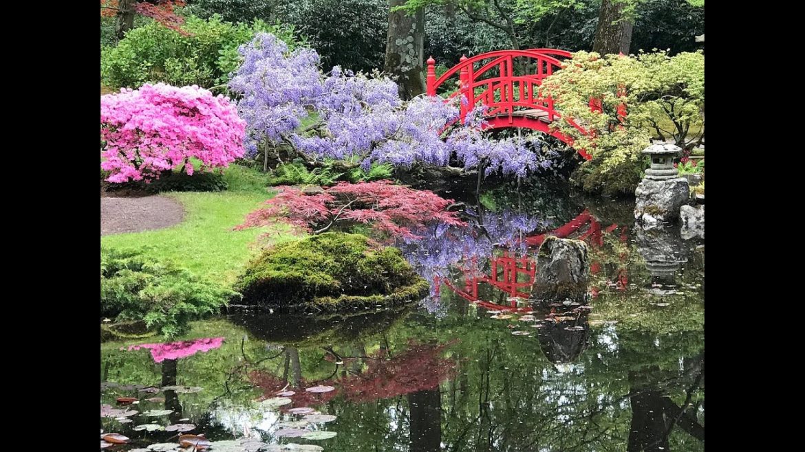 Japanese Water Garden Meditation Sounds #japanesemusicalinstruments #meditationmusic #relaxation