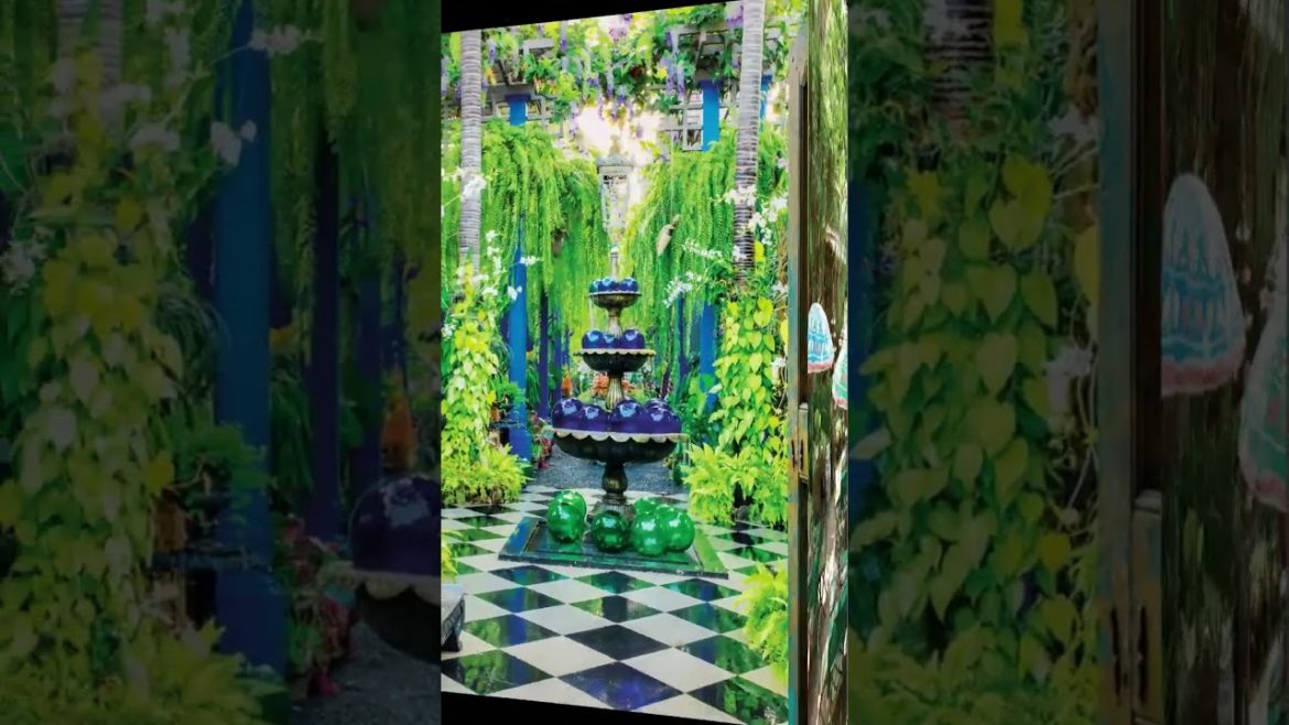 Yard Design Ideas 2 Yard Design Ideas 2