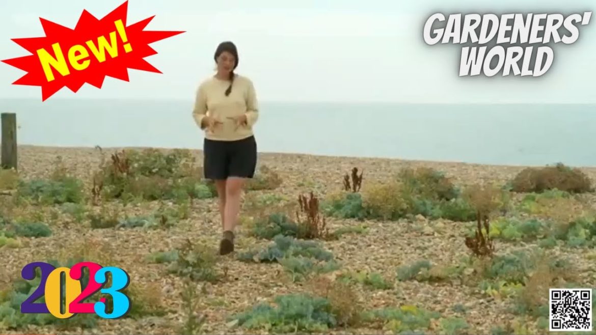 Gardeners' World 2023๐S55E28๐New Full Episode Season 2023 Gardeners' World 2023๐S55E28๐New Full Episode Season 2023