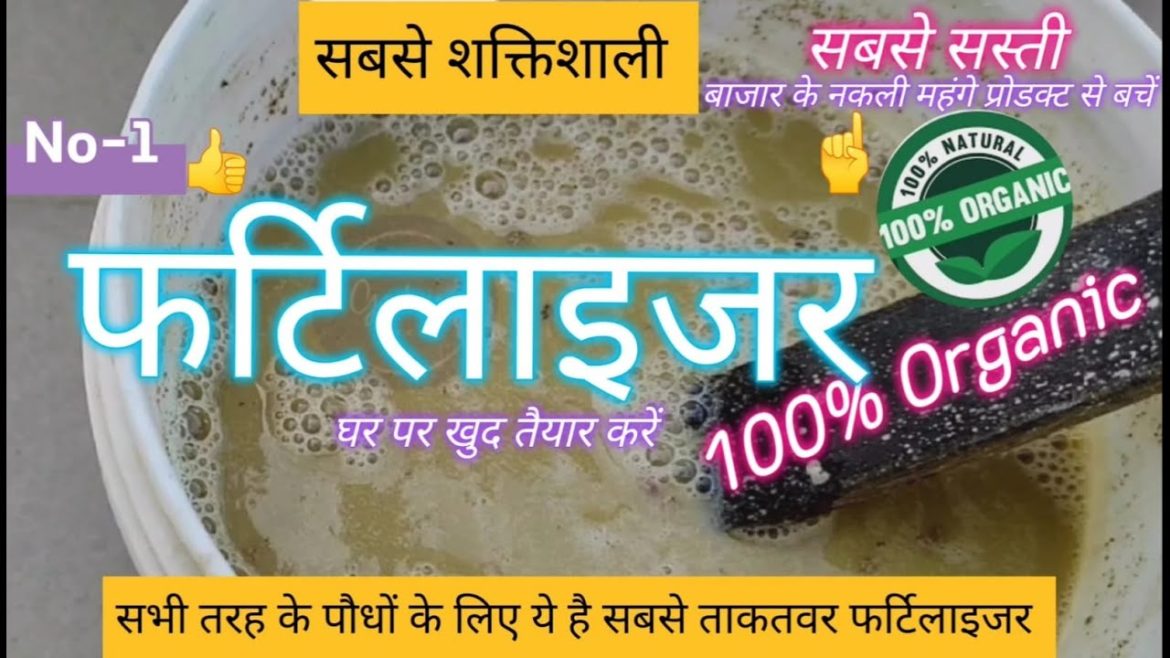 Best Organic Fertilizer for All Plants#gardening #organic #plants #fertilizer #organicfertilizer