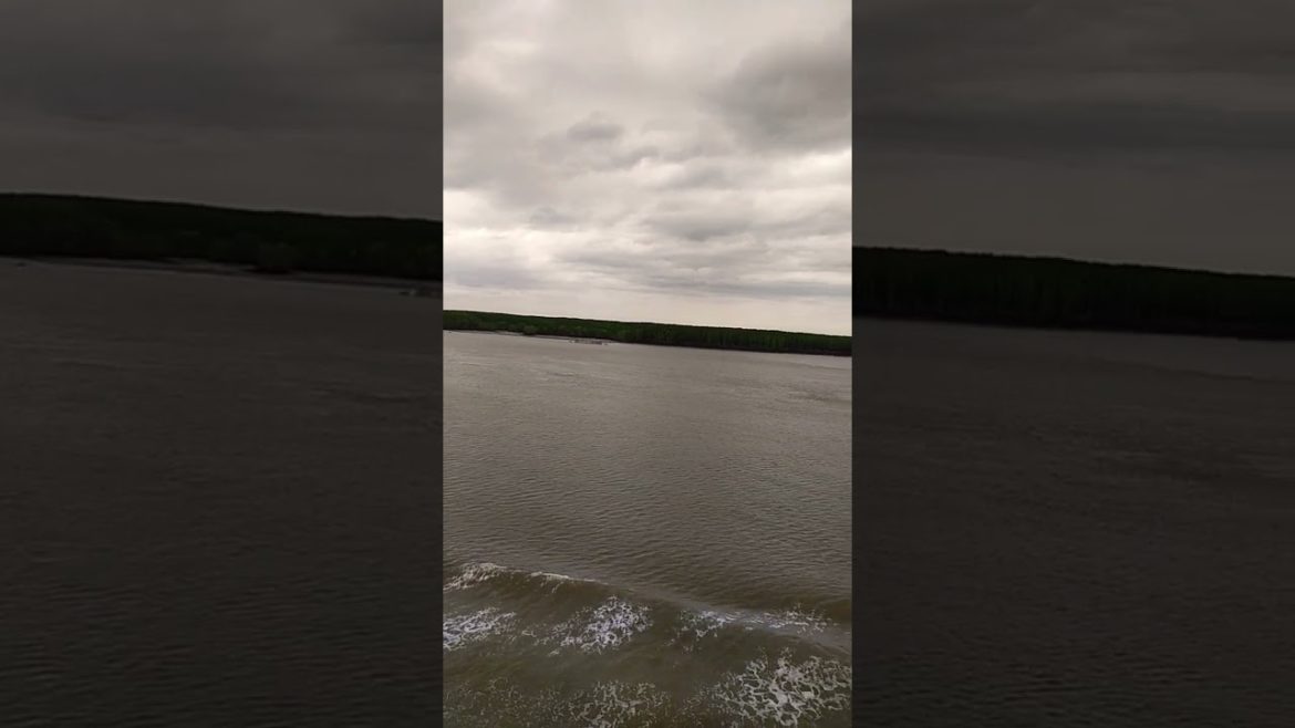 container ship in river#shortvideo #shorts #youtubeshorts #viralshorts #ytshorts