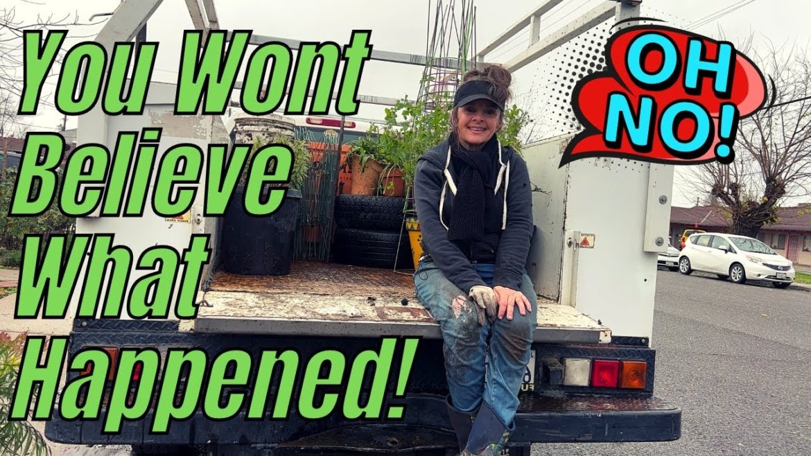 Moving Plants to the Homestead did NOT go well! IT’S OVER!!!