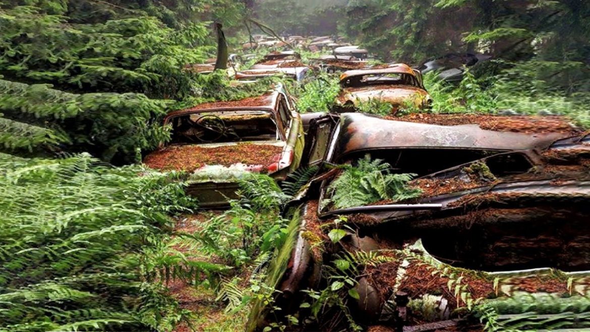 This Is Why Millions of Cars Are Rotting in the Open Air