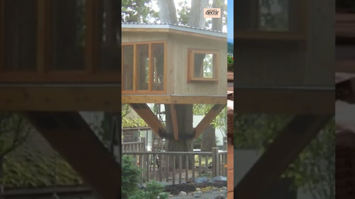 VIRAL!! Top 10 Most Popular Backyard Garden Ideas π₯π‘ #Shorts #YTShorts #FYP #Viral VIRAL!! Top 10 Most Popular Backyard Garden Ideas π₯π‘ #Shorts #YTShorts #FYP #Viral