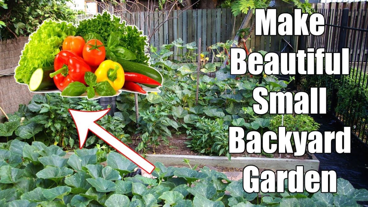 How to Make Beautiful Small Backyard Garden