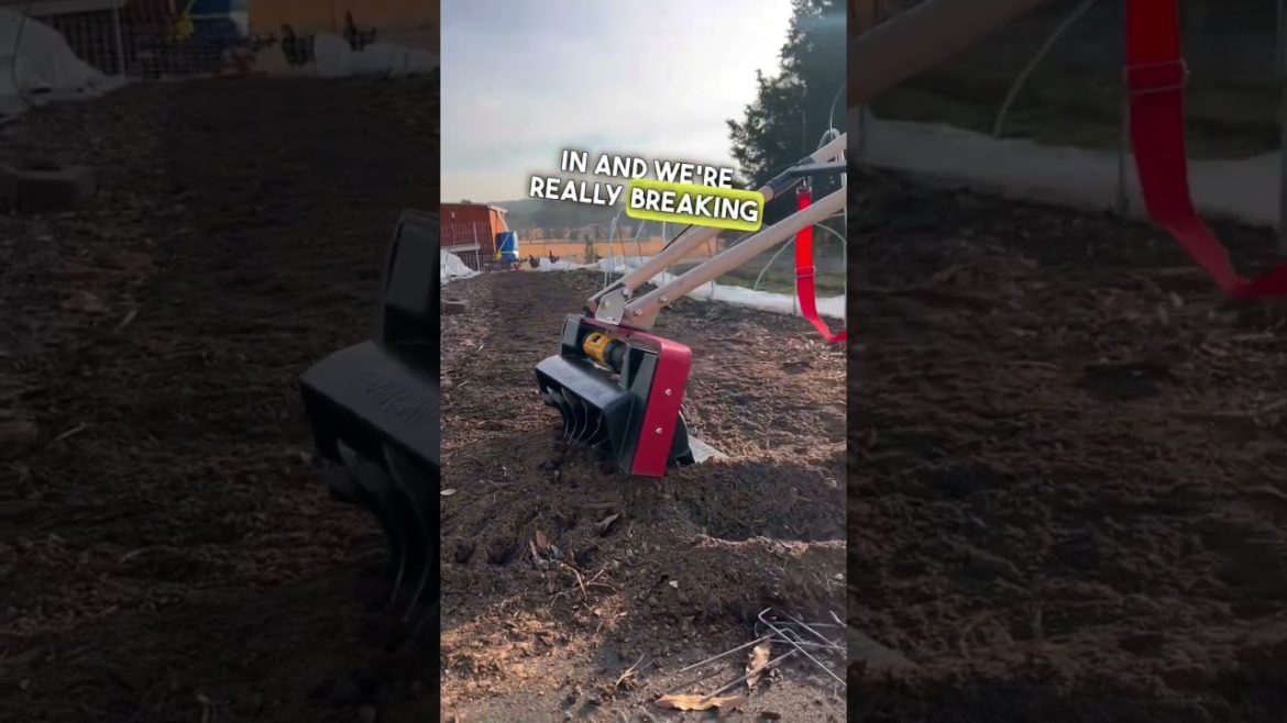 Iconoclast tilther review #iconoclasttilther #marketgardeningtools #marketgarden #gardentools