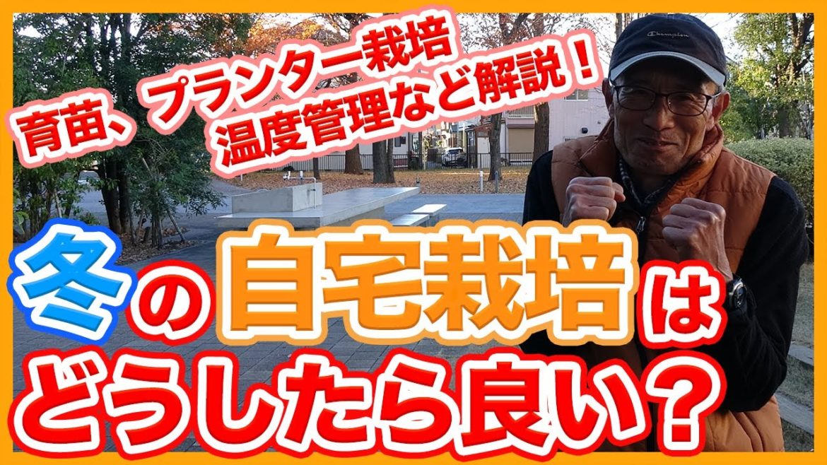 家庭菜園やプランター栽培は冬の間どうしたら良い？自宅で出来る育苗や温度管理のコツを徹底解説！【農家直伝】/Tips for growing vegetables at home in winter.