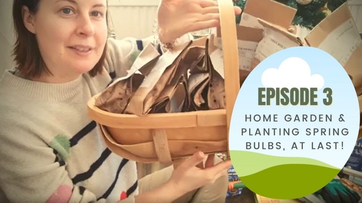 Ep3: Home garden & spring bulbs