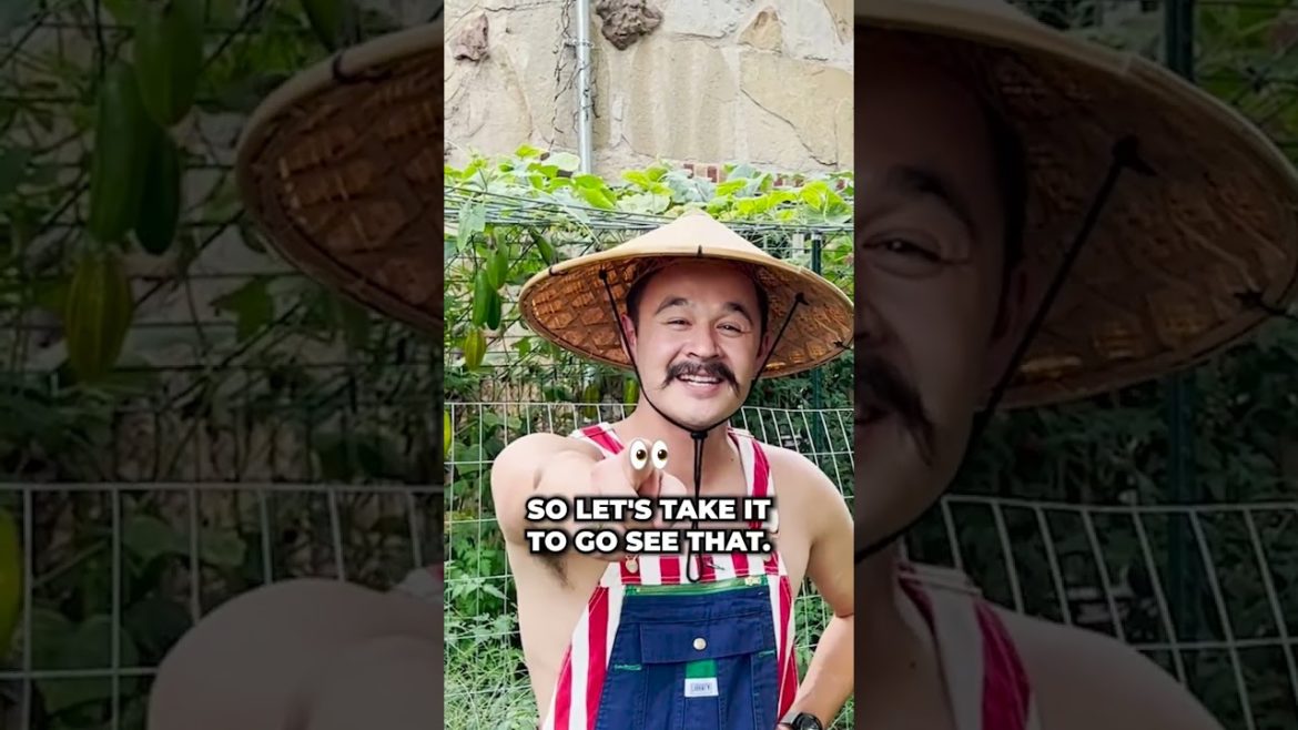 How to build an Indoor Garden in 2023 #shorts #gardening #indoorgarden How to build an Indoor Garden in 2023 #shorts #gardening #indoorgarden