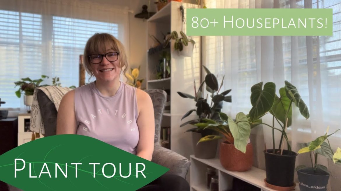 80+ Houseplant Tour: 2022 Wrap Up Plant Collection 80+ Houseplant Tour: 2022 Wrap Up Plant Collection