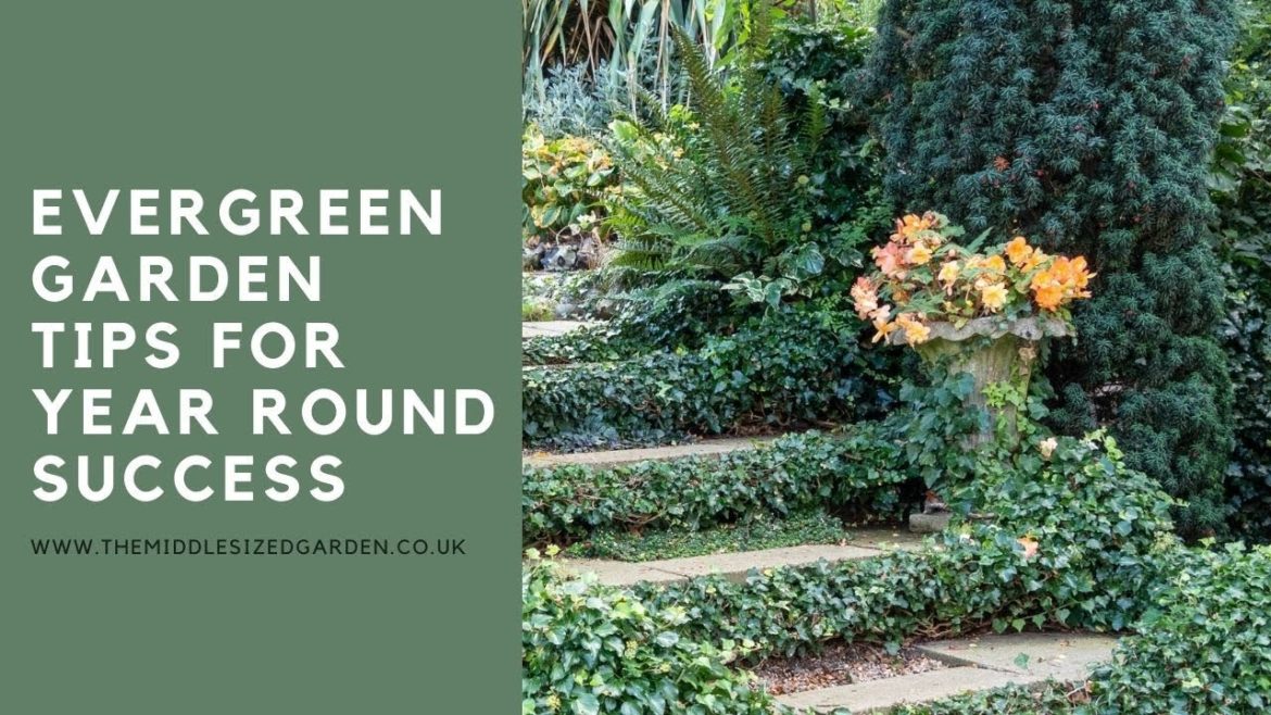 How to use evergreens for a garden that looks beautiful all year round How to use evergreens for a garden that looks beautiful all year round