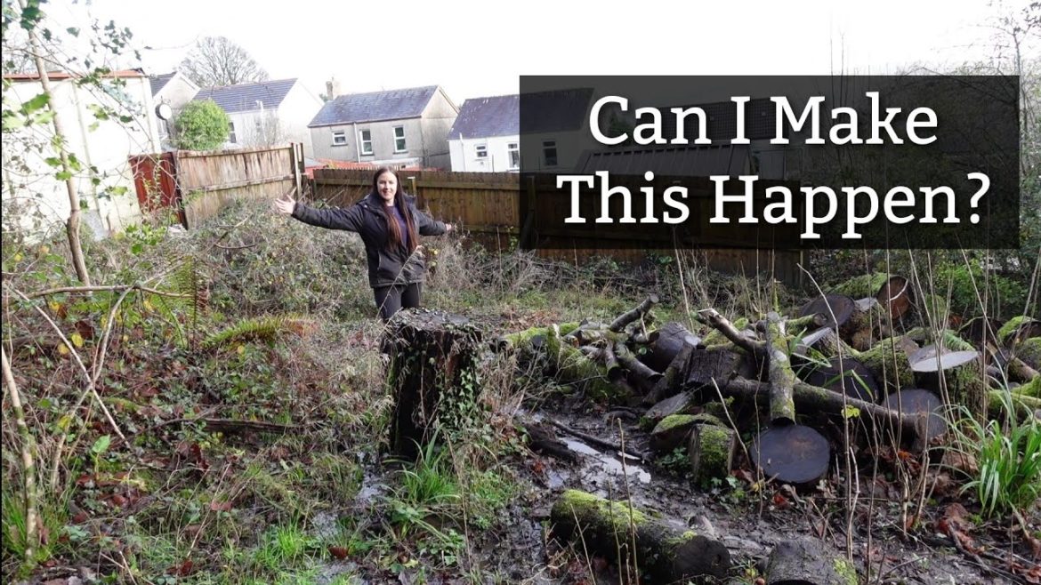 Plans & Progress In My New Home Vegetable Allotment Garden | Creating A Forest Garden Part 3 Plans & Progress In My New Home Vegetable Allotment Garden | Creating A Forest Garden Part 3