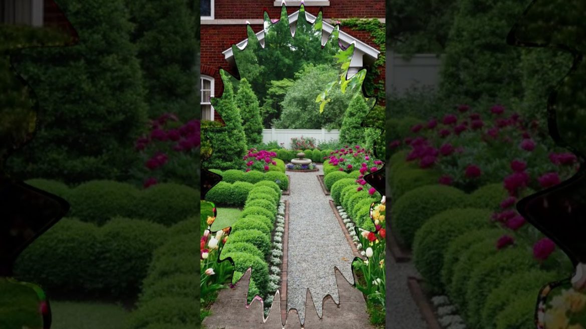 Front Yard Landscape #shorts #viral #landscape