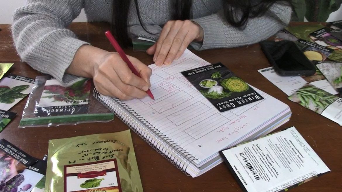 How I Plan My Vegetable Garden Step by Step Guide