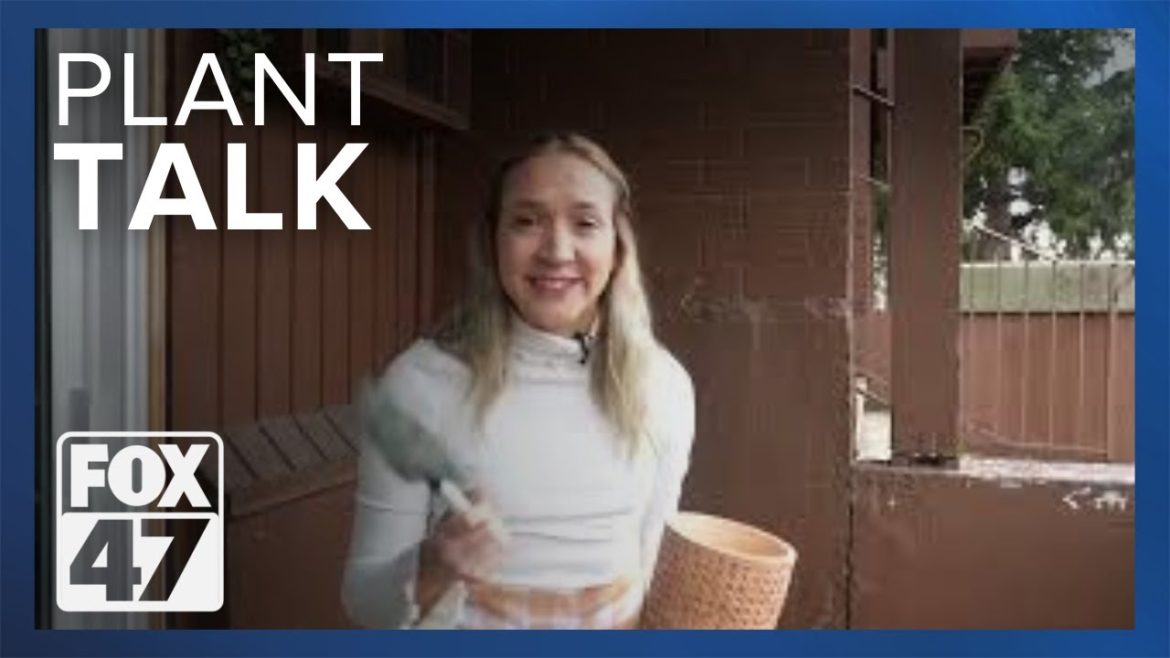 Botany plants lately? A garden club shares the plant trends for 2023