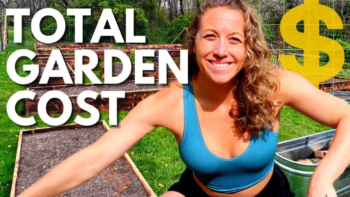 How Much Does a Raised Garden Cost?? | TOTAL Breakdown How Much Does a Raised Garden Cost?? | TOTAL Breakdown