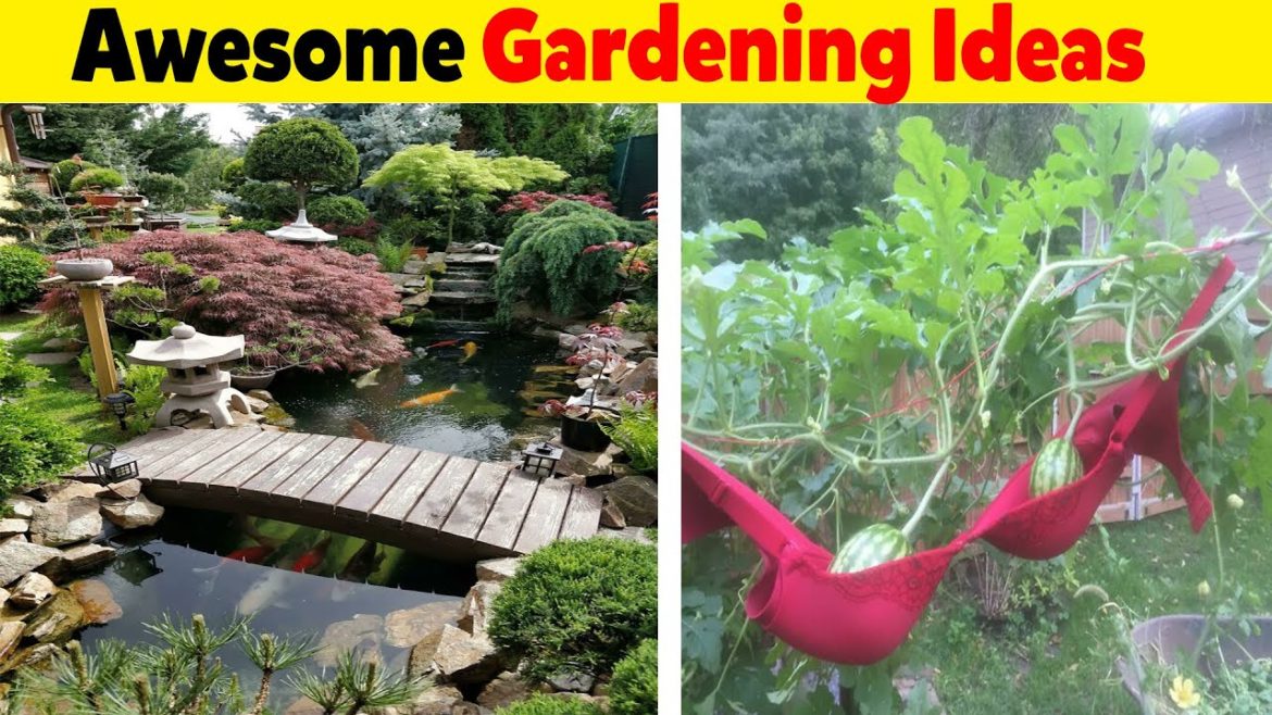 Times People With A Green Thumb Shared Some Awesome Gardening Ideas Times People With A Green Thumb Shared Some Awesome Gardening Ideas