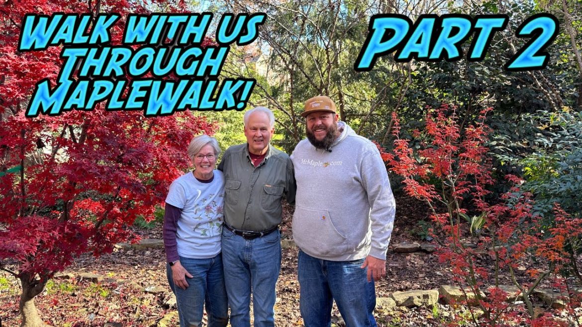 Exploring The MapleWalk Garden In Charlotte, North Carolina | Part 2 with Tom Nunancamp | Exploring The MapleWalk Garden In Charlotte, North Carolina | Part 2 with Tom Nunancamp |