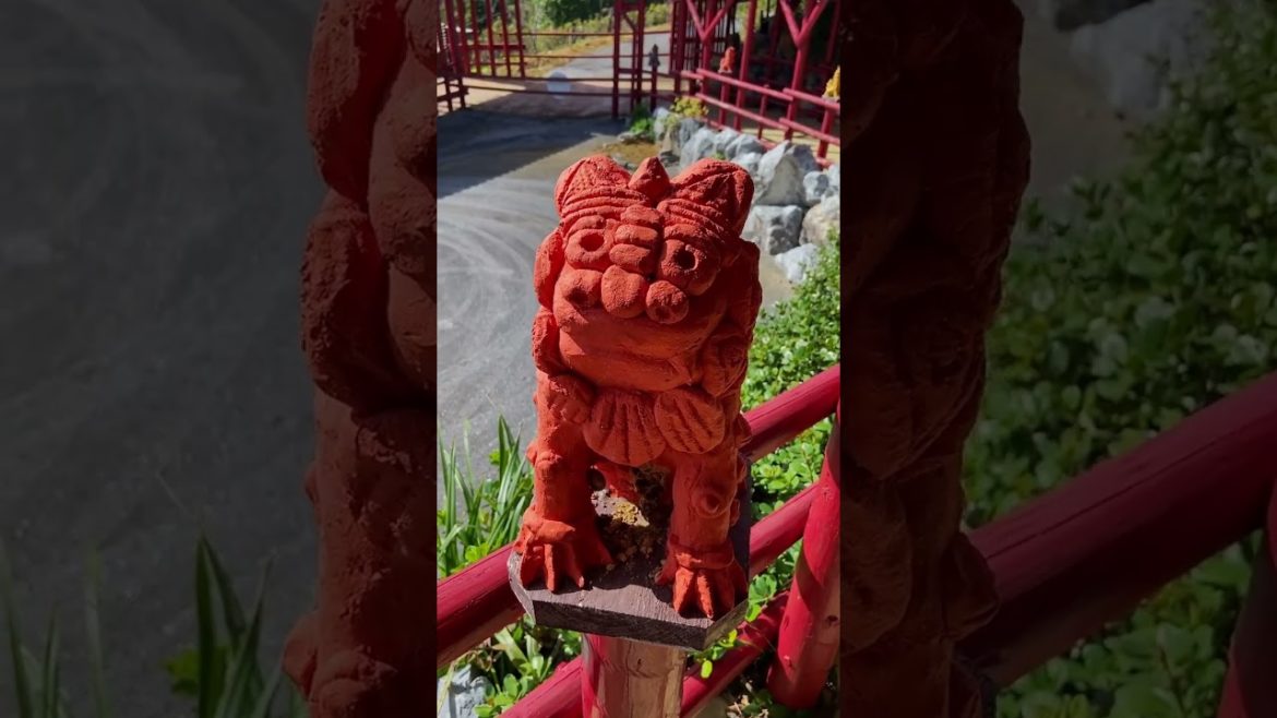 THIS VIEW While You Eat is 🥰