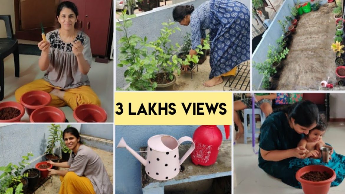 சூப்பரா மாறிய மாடித் தோட்டம்🌱 Extreme Garden makeover | Terrace gardening tips | Garden materials சூப்பரா மாறிய மாடித் தோட்டம்🌱 Extreme Garden makeover | Terrace gardening tips | Garden materials