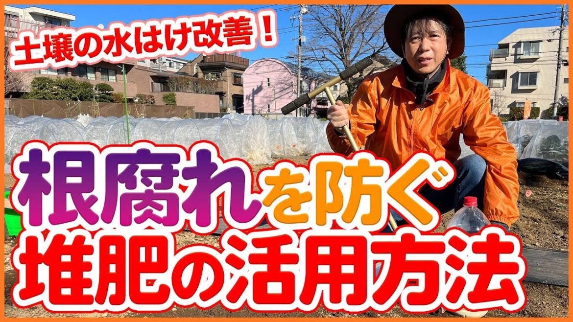 家庭菜園や農園栽培で根腐れを防ぐ！土壌の水はけ改善！野菜の根がのびのび育つ堆肥を活用した土壌改善のコツ！/Tips for soil improvement to prevent root rot.